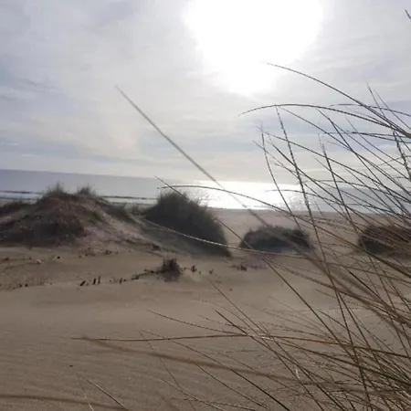 Cap D'agde Apartament *